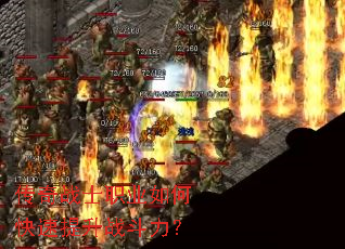 ����սʿְҵ��ο�������ս������