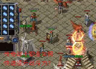 ����սʿְҵ��ο�������ս������