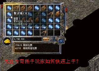 ��Ѫ�������������ο������֣�