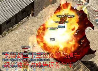 �ż�����ʮ������ο�����������ݹ��Ը������