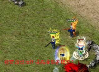 ������Ϸ�����߱�װ�����ʣ�