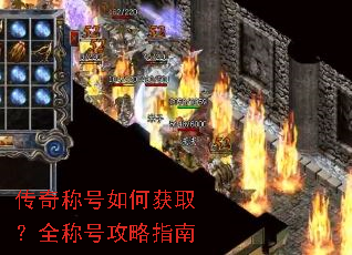 ����ƺ���λ�ȡ��ȫ�ƺŹ���ָ��