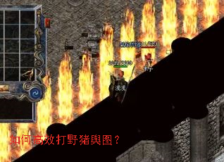 ��θ�Ч��Ұ����ͼ��