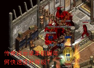 ������ʾ¼��������ο��������ȼ���