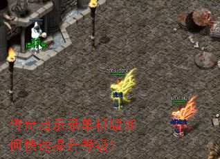 ������ʾ¼��������ο��������ȼ���