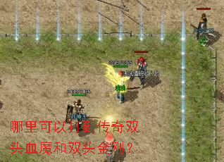 ������Դ򵽴���˫ͷѪħ��˫ͷ��գ�