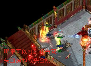 ������Դ򵽴���˫ͷѪħ��˫ͷ��գ�