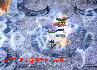 ����˽������ѫ����ô��ã�