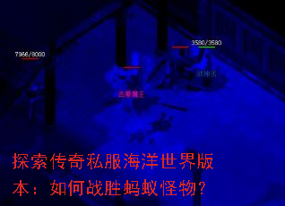 ̽������˽����������汾�����սʤ���Ϲ��