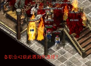 ��ְҵ42���������ѡ��