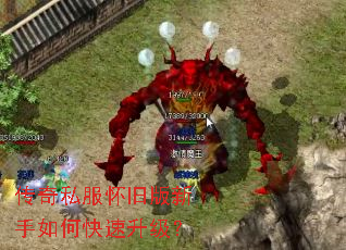 ����˽�����ɰ�������ο���������