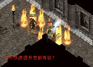 ��ο��������پ��ȼ���