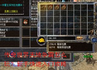 �����������������ô�棿���ֿ������Ź���