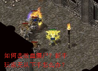 ��λ���Ѫ��ʬ����������޴�������ô�죿