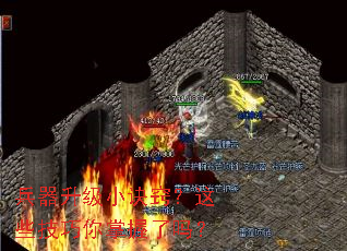 ��������С���ϣ���Щ��������������