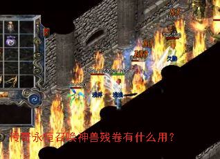 ���������ٻ����޲о���ʲô�ã�