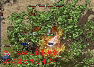 Ϊʲôսʿ�Ĵ�ɱ��������Ϊ�����񼼣�