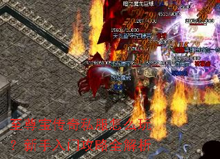 ���𱦴���˽����ô�棿�������Ź���ȫ����