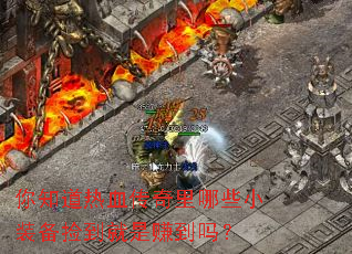 ��֪����Ѫ��������ЩСװ���񵽾���׬����