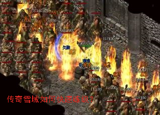 ����ѩ����ο���������