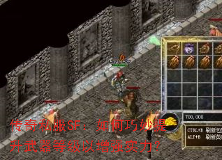 ����˽��SF������������������ȼ�����ǿʵ����