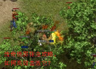 ��������ǯ�湥�ԣ���θ�Ч��������