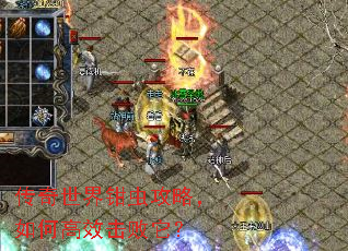 ��������ǯ�湥�ԣ���θ�Ч��������