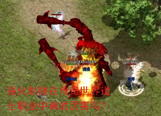 ǿ�������ڴ��������ʿְҵ�����������