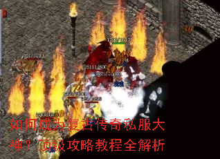 ��γ�Ϊ���Ŵ���˽�����񣿶������Խ̳�ȫ����