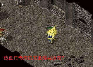 ��Ѫ�����̵�װ������ָ�ϣ�