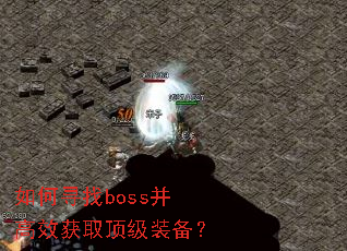 ���Ѱ��boss����Ч��ȡ����װ����