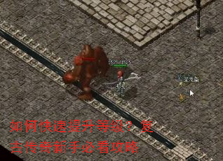 ��ο��������ȼ������Ŵ������ֱؿ�����