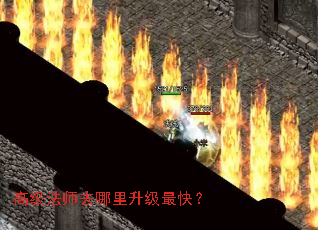 �߼���ʦȥ����������죿