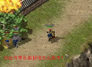 ��Ѫ����˽���ؾ���ôͨ�أ�