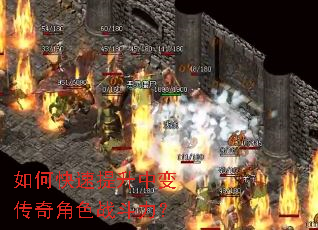 ��ο��������б䴫���ɫս������