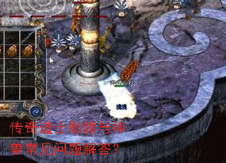 �����ʿ���������޳���������