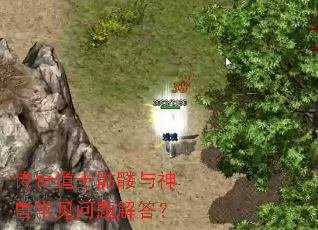 �����ʿ���������޳���������