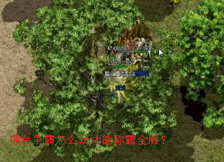 ��̨������ô����ܳư�ȫ����