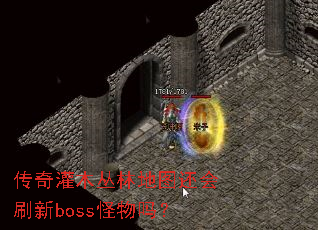 �����ľ���ֵ�ͼ����ˢ��boss������