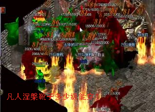 ��������ѥ�Ӷ��ټ��ܴ���