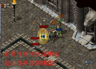 �¿���������ħ��װ������Щ���ﱬ����