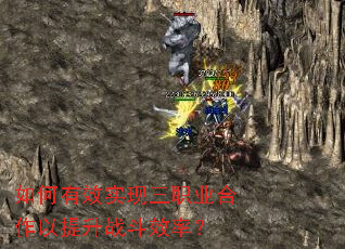 �����Чʵ����ְҵ����������ս��Ч�ʣ�