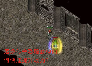 ħ������˽��������ο�������ս����