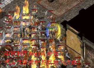 �������Magic.db���ݿ��Ż�������Ϸ��ɫ���ܣ�