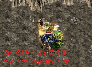 ΪʲôNPC��������������Ʒ������˽����ұؿ�