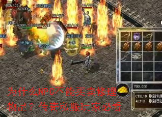 ΪʲôNPC��������������Ʒ������˽����ұؿ�