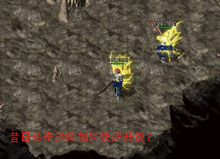 ���մ��淨ʦ��ο���������