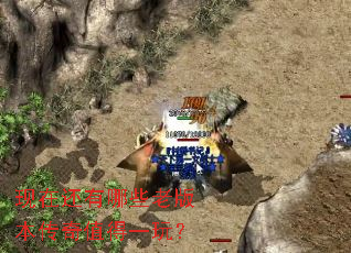 ���ڻ�����Щ�ϰ汾����ֵ��һ�棿