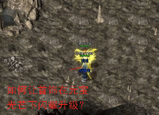 �����������Ԫ����â����ҫ������