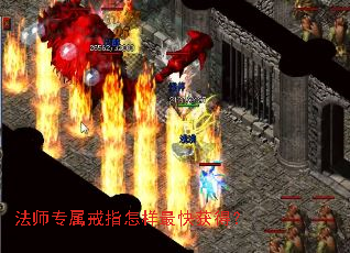 ��ʦר����ָ��������ã�